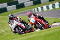 cadwell-no-limits-trackday;cadwell-park;cadwell-park-photographs;cadwell-trackday-photographs;enduro-digital-images;event-digital-images;eventdigitalimages;no-limits-trackdays;peter-wileman-photography;racing-digital-images;trackday-digital-images;trackday-photos